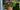 Pink rose sitting on a step in a terra cotta pot and a column beside it with greenery in the background.