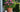 Pink rose sitting on a step in a terra cotta pot and a column beside it with greenery in the background.