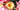 Up close of a yellow rose open with yellow stamens surrounded by pink and yellow rose blooms and a blurred green background. 