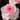 Classic pink blend rose with blurred dark background. 