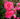 Vibrant pink rose blooms with green leaves in a garden setting, featuring a shallow depth of field that blurs the background.