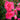 Vibrant pink rose blooms with green leaves in a garden setting, featuring a shallow depth of field that blurs the background.