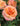 Up close of an apricot and pink rose with water droplets and green foliage in the background. 