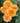 A close-up of five peach-orange roses in full bloom surrounded by dark green foliage.