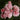 A cluster of light pink roses with layered petals and green foliage in a garden setting.