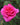 A vibrant pink rose bloom in full detail, surrounded by green leaves and a soft, blurred garden background.