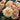 A cluster of peach and cream roses with ruffled petals, shown in a garden setting with green foliage in the background.