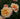 Close-up of peach and yellow roses with pinkish edges blooming against a dark green leafy background.