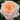 A close-up of a peachy blush pink rose in full bloom, surrounded by dark green foliage.
