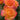 Close-up of vibrant orange and pink roses with green leaves in a garden setting.