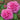 Two pink roses with a green leafy background