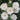 White flowers with yellow centers on a green background