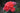 A close-up of a cluster of coral-red roses with green leaves against a softly blurred dark green background.