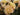 Close-up of pale cream and soft yellow roses with frilly petals, green leaves and buds.