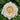 A close-up of a pale cream rose bloom with soft yellow-orange tones in the center, surrounded by green foliage.