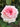 A close-up of a blooming rose with layered petals transitioning from soft pink in the center to creamy white at the edges, surrounded by green leaves with water droplets.