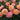 A close-up of peach and pink rose blooms with green foliage in a garden setting.