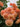 A close-up cluster of peachy pink roses with layered petals and dark green leaves against a pale sky background.