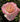 A close-up of a blooming rose with layered petals in soft pink fading to creamy yellow at the center, surrounded by dark green foliage.