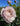 A close-up of a pale pink rose bloom with green leaves and buds against a bright blue sky.