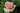 A close-up of a peach and cream rose bloom surrounded by dark green foliage.