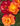 Close-up of three roses with layered petals in orange, yellow, and deep red, surrounded by dark green leaves.