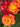 Close-up of three roses with layered petals in orange, yellow, and deep red, surrounded by dark green leaves.
