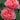 Two blooming pink rose flowers with layered ruffled petals, surrounded by dark green leaves in a garden setting.