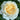 A close-up of a double-blossom rose in full bloom, featuring creamy white outer petals and a soft pale yellow center, surrounded by dark green foliage.
