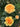 Three yellow-orange roses in full bloom on a rose bush with dark green leaves in a garden setting.