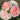 Close-up of a cluster of light pink and white roses with a blurred natural background