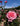 A close-up of a pink rose bloom with green leaves, surrounded by other pink roses and buds under a blue sky.