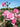 Pink roses in full bloom with green leaves and stems, photographed outdoors against a soft-focus background of blue sky and trees.