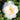 A close-up of a blooming rose with layered creamy white petals fading to pale yellow in the center, surrounded by green leaves.
