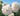 Close-up of cream and pale pink double-flowered roses with green leaves against a bright blue sky.