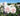 Pale blush pink and white roses in full bloom with green leaves, photographed outdoors against a soft-focus background of more flowers and blue sky.