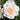 A close-up of a pale peach and white rose in full bloom, surrounded by dark green leaves in a garden setting.