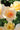 Close-up of pale peach and cream roses with yellow centers and green foliage in a garden setting.