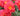 Close-up of vibrant coral-pink roses with bright yellow centers and soft green foliage in the background.