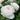Close-up of a bulbous light pink rose with green leaves in the background