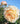 A close-up of a pale peach and cream rose in full bloom, surrounded by green leaves and blurred buds under a clear blue sky.