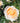 A close-up of a blooming rose with pale cream petals and a warm peach-orange center, surrounded by green leaves and a softly blurred garden background.