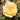 A close-up of a pale yellow rose bloom with layered petals and a yellow-orange center, photographed outdoors against a blurred green and brown garden background.