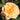 A close-up of a pale peach-yellow rose in full bloom with soft layered petals and a yellow-orange center, photographed outdoors against blurred green foliage.