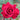 A close-up of a vibrant red rose in full bloom with a small bud visible in the upper right, set against a soft, blurred green garden background.
