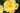 A close-up of a bright yellow rose bloom with layered petals and a small orange-tan center, set against a blurred green garden background.