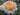 A close-up of a double-blossom rose with peach and cream petals, set against a blurred garden background.
