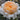 A close-up of a double-blossom rose with peach and cream petals, set against a blurred garden background.