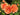 Three peach-orange roses in full bloom with green leaves and buds in a garden setting.