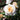 A close-up of a pale peach and white rose in full bloom, surrounded by green leaves and other blurred roses in a garden setting.